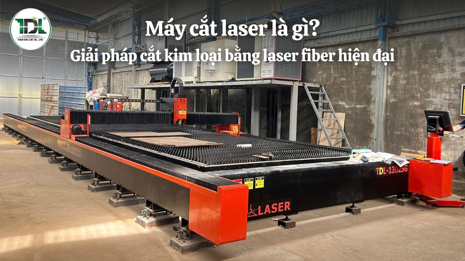 may-cat-laser